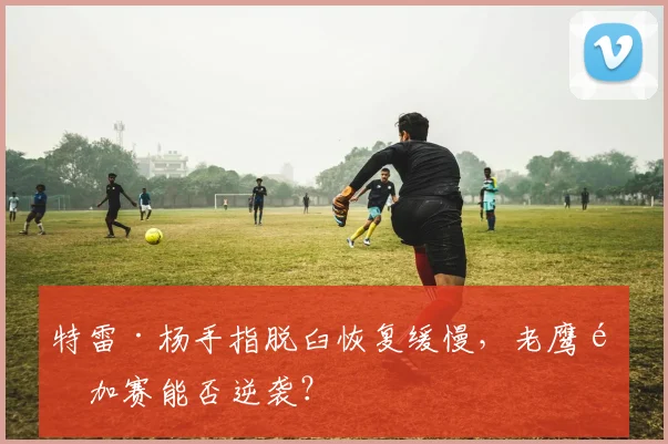 特雷·杨手指脱臼恢复缓慢，老鹰附加赛能否逆袭？